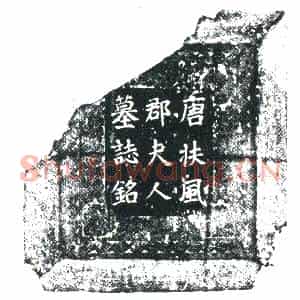 唐代 楷书墓志拓片《有唐故云麾将军右武卫大将军东京副留守上柱国濮阳郡开国公杜府君夫人...》高清图片欣赏