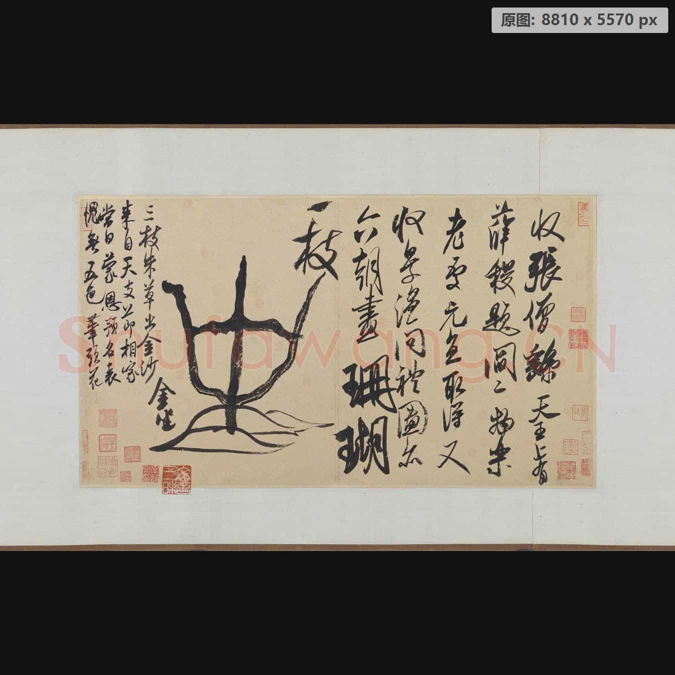 宋代 米芾 珊瑚帖-01