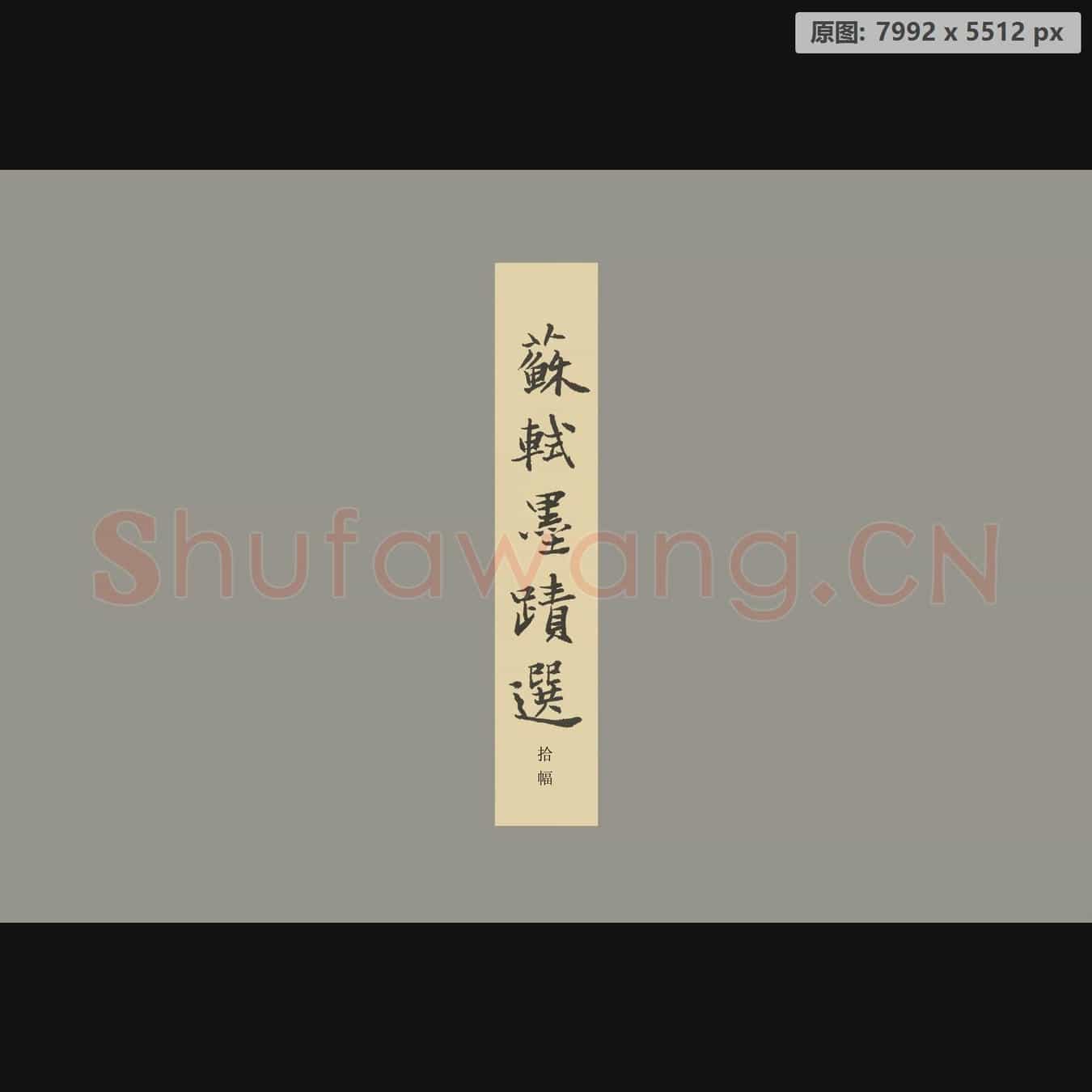宋代 苏轼 册页 纸本 封面