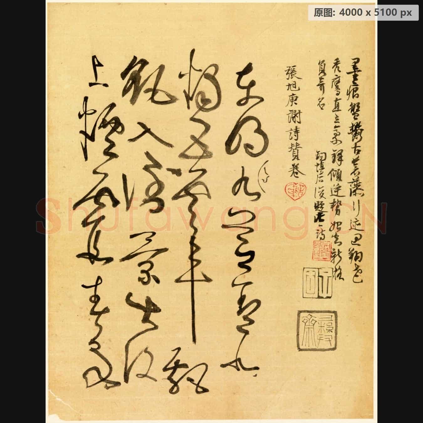 近现代 谢稚柳 临张旭古诗首 行草书法作品-01
