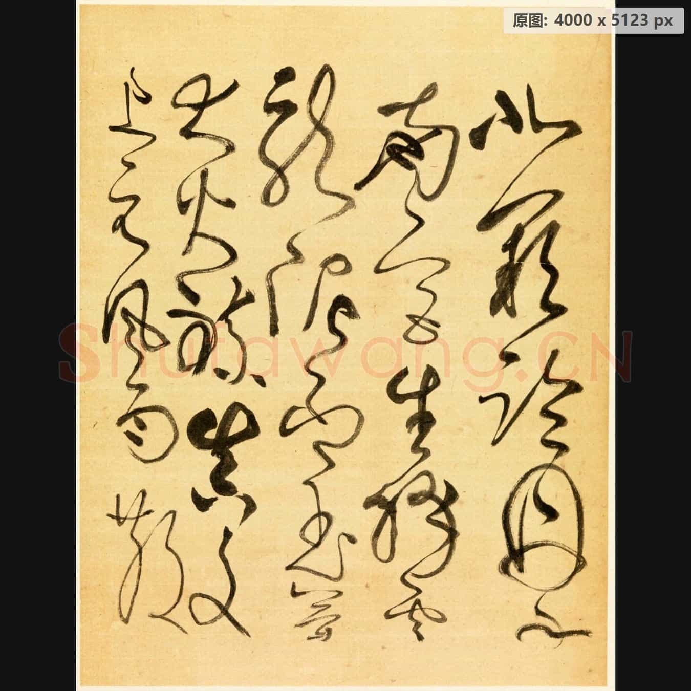 近现代 谢稚柳 临张旭古诗首 行草书法作品-03