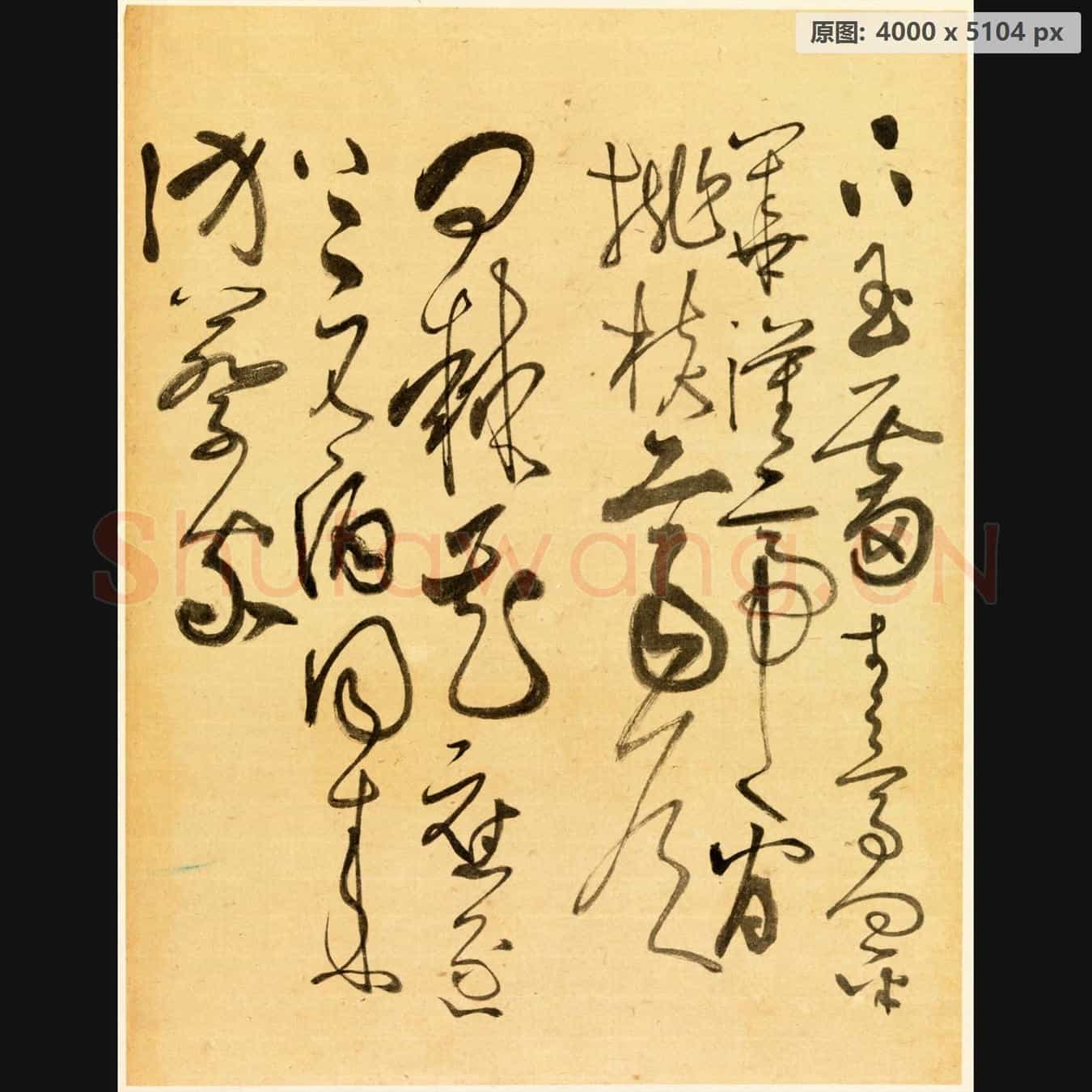 近现代 谢稚柳 临张旭古诗首 行草书法作品-04