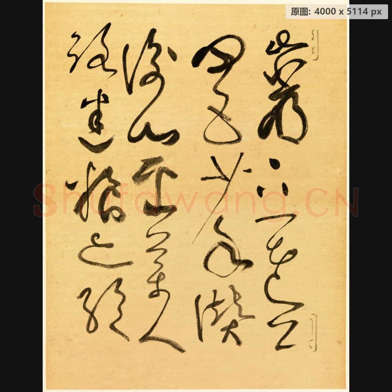 近现代 谢稚柳 临张旭古诗首 行草书法作品-05