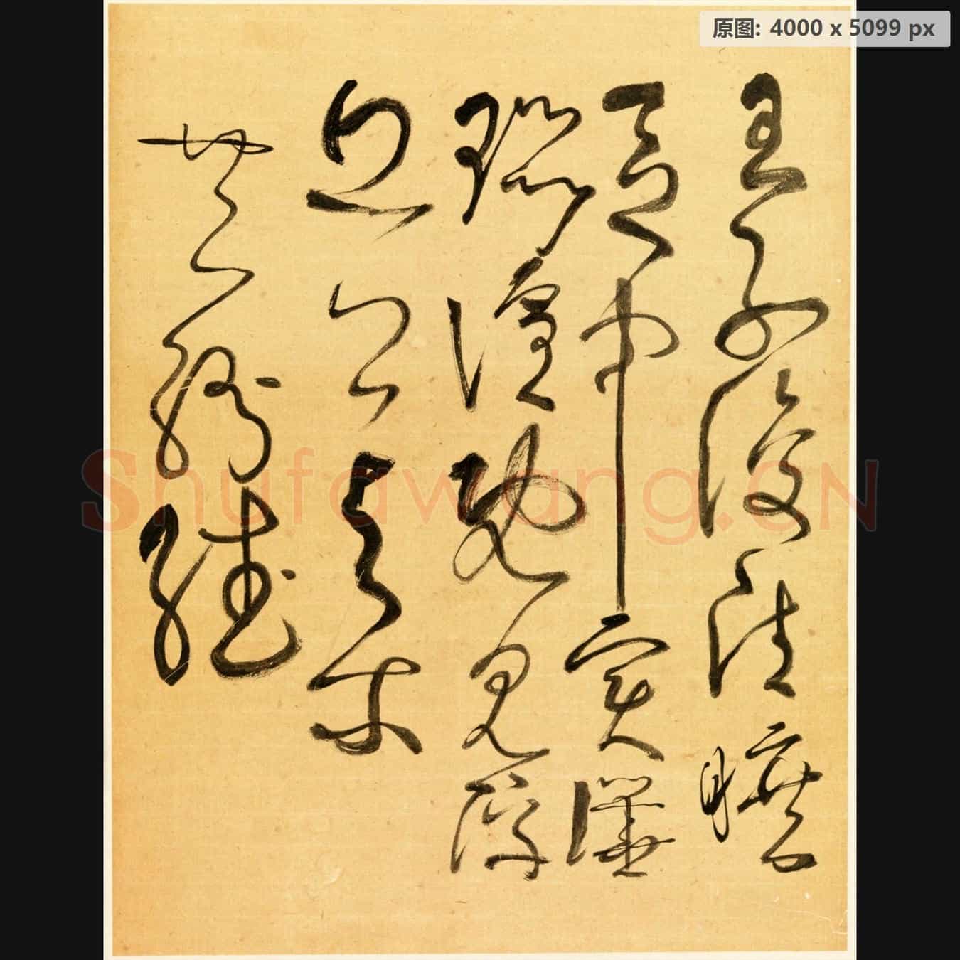 近现代 谢稚柳 临张旭古诗首 行草书法作品-06