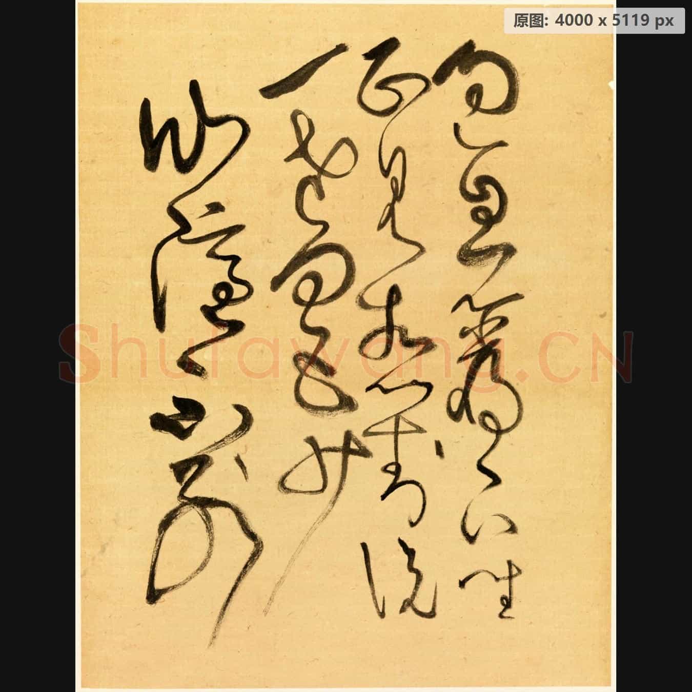 近现代 谢稚柳 临张旭古诗首 行草书法作品-08