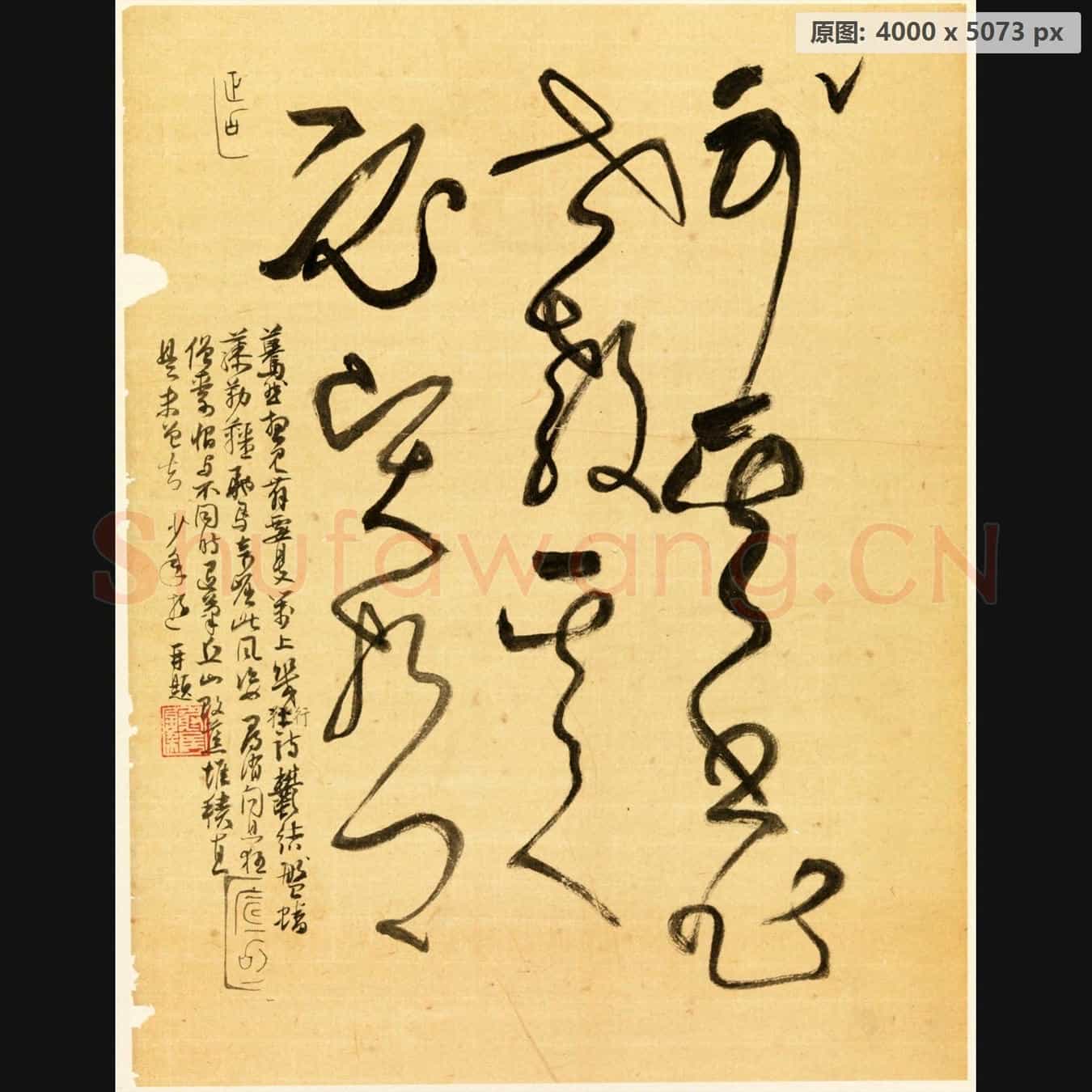 近现代 谢稚柳 临张旭古诗首 行草书法作品-09