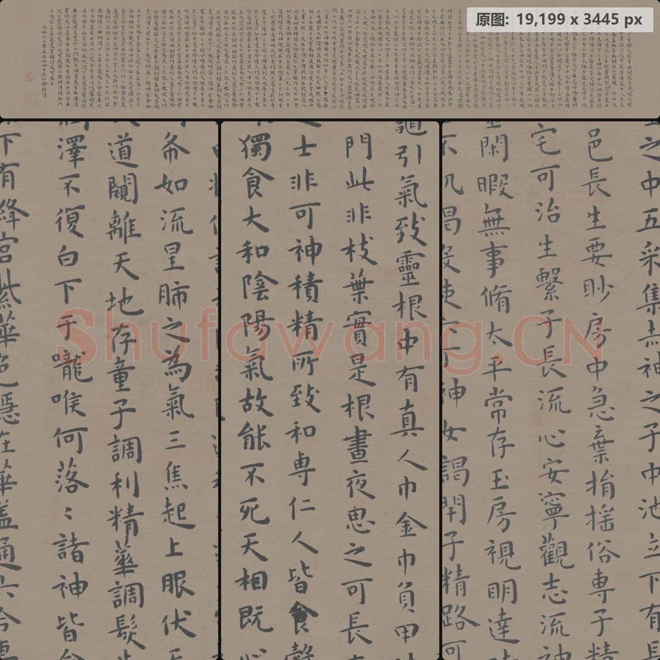 明代 王宠 临王羲之黄庭经 纸本