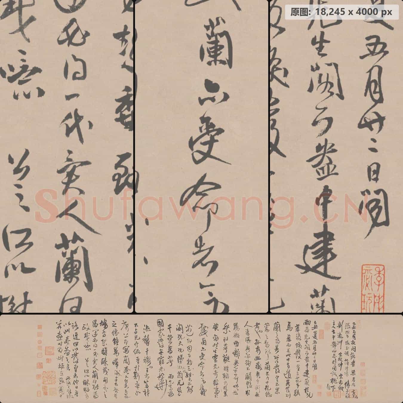 明代 王铎 枯兰复花图跋卷
