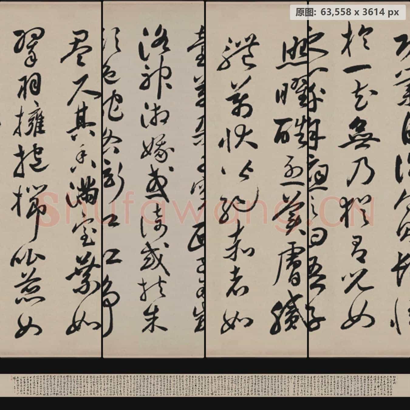 明代 祝允明 牡丹赋行草