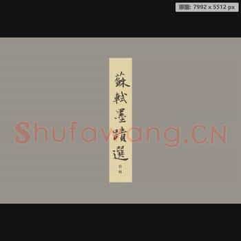宋代 苏轼 册页 纸本 封面