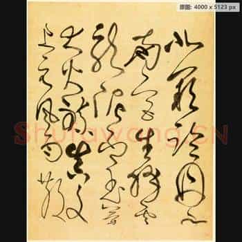 近现代 谢稚柳 临张旭古诗首 行草书法作品-03