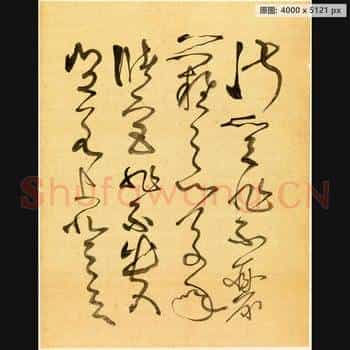 近现代 谢稚柳 临张旭古诗首 行草书法作品-07