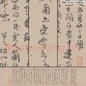 明代 王铎 枯兰复花图跋卷