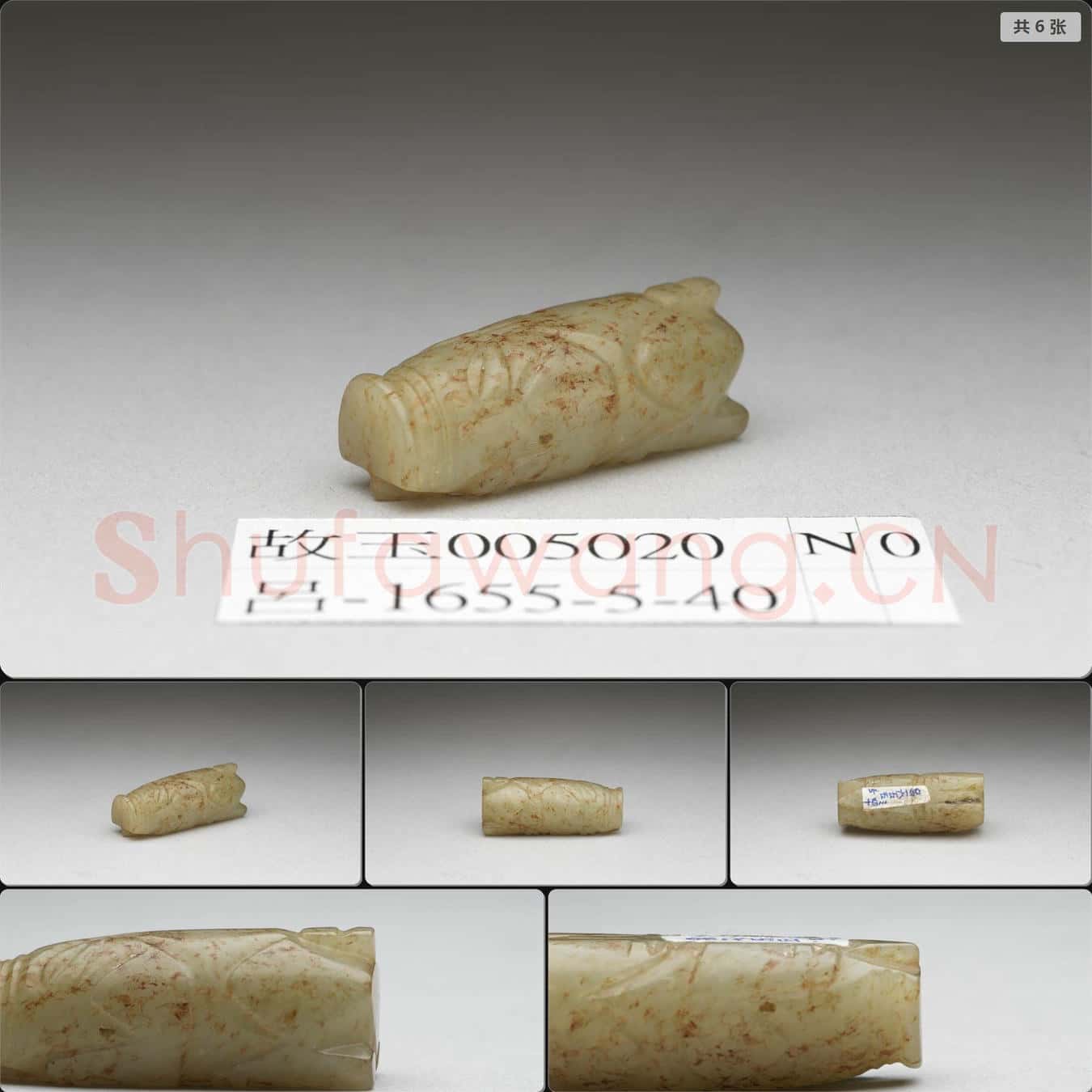 時代待訂 玉豬