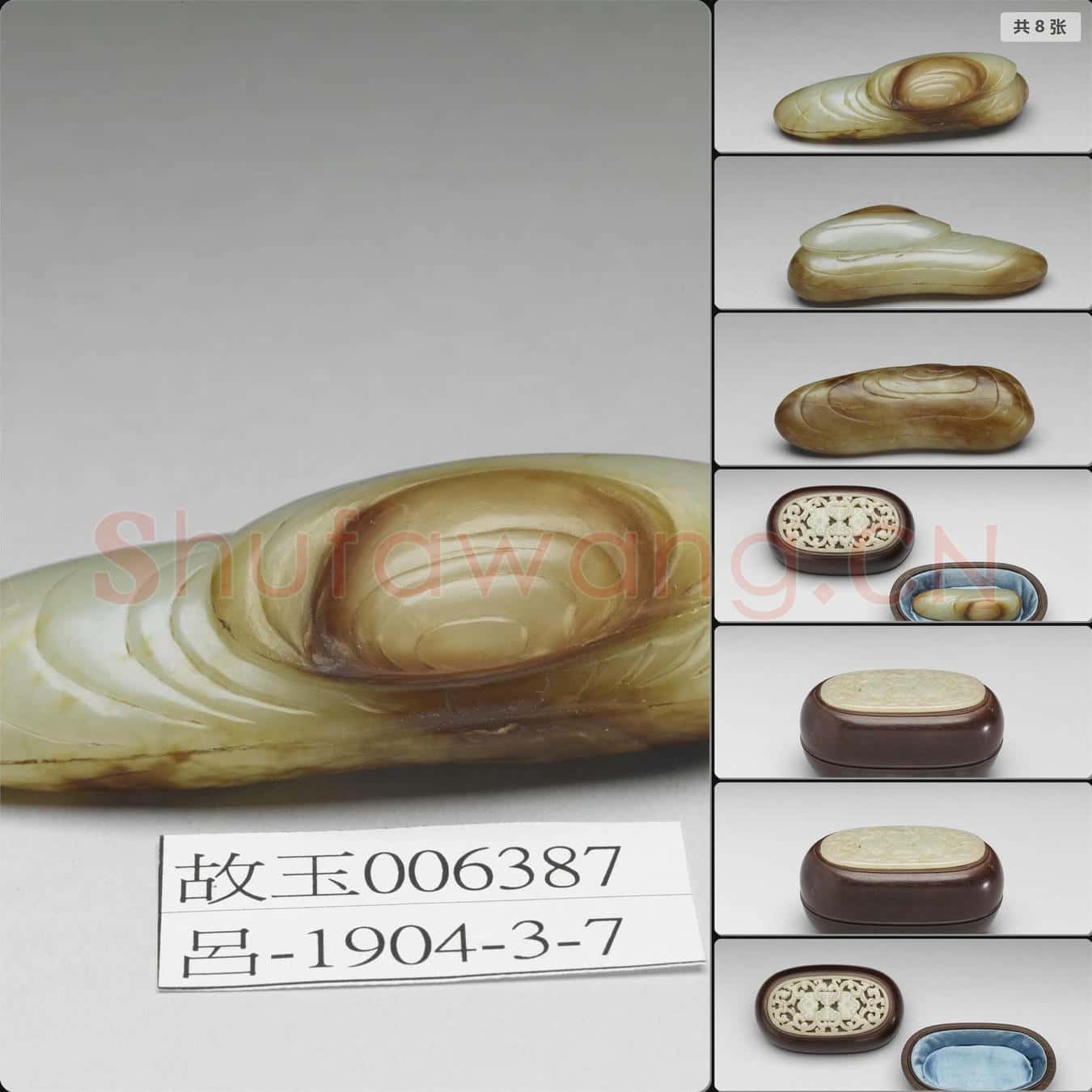 明 玉蚌