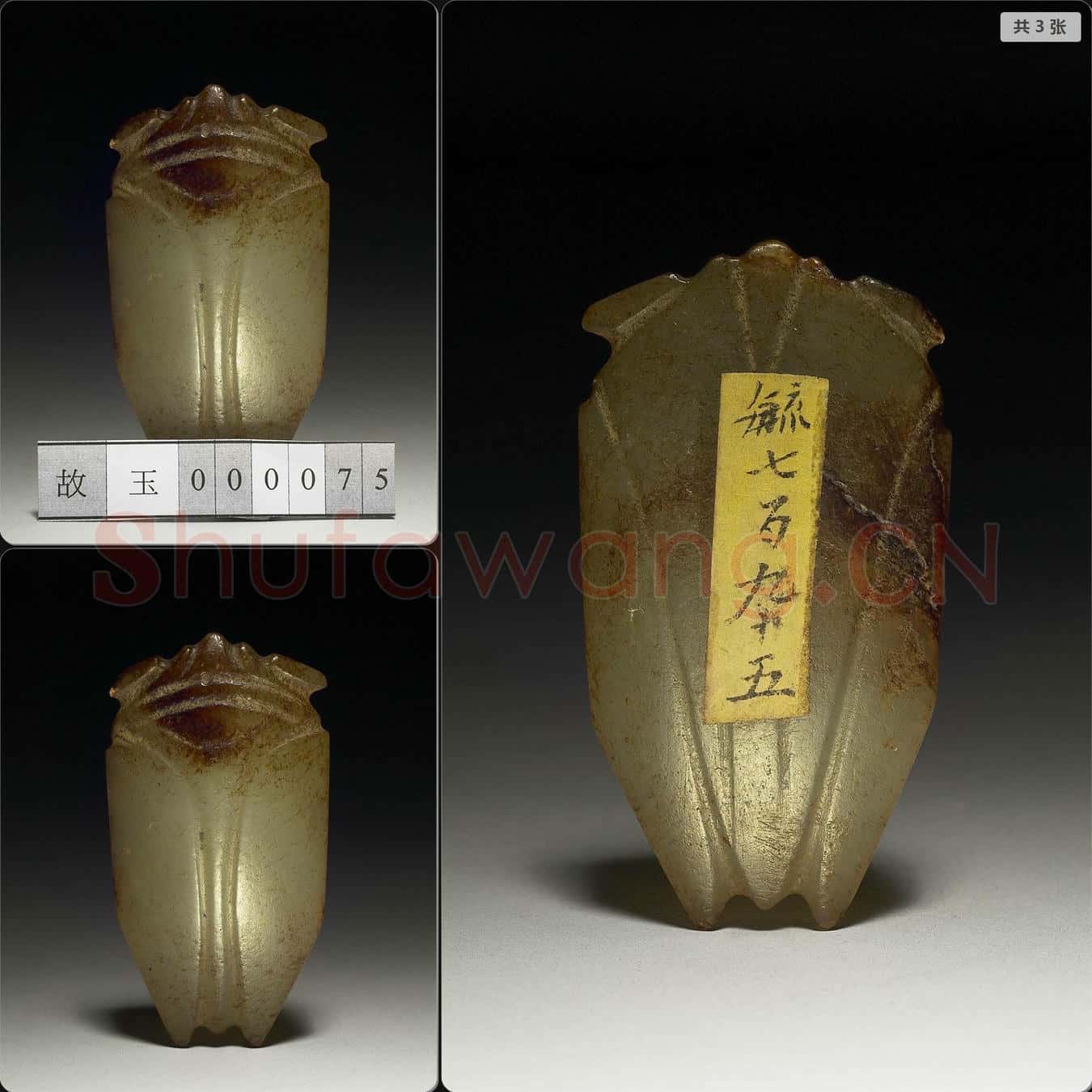 明至清 玉蟬