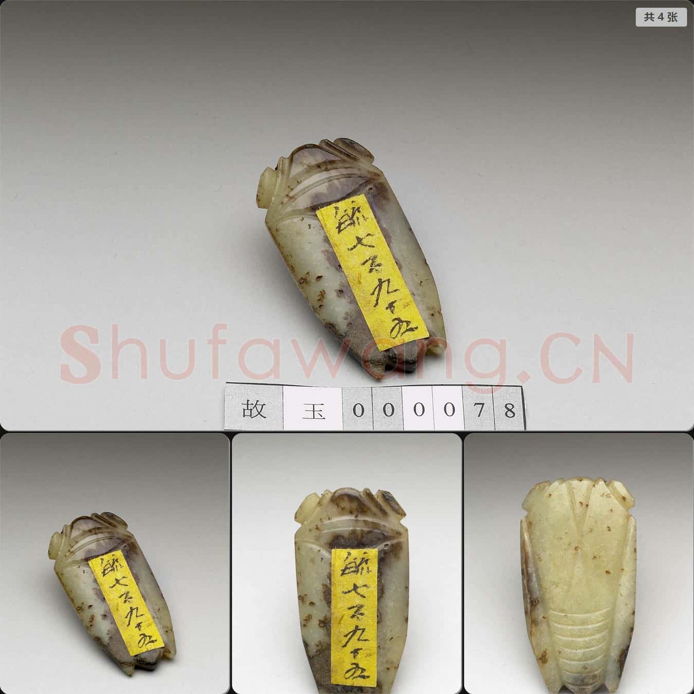 明至清 玉蟬