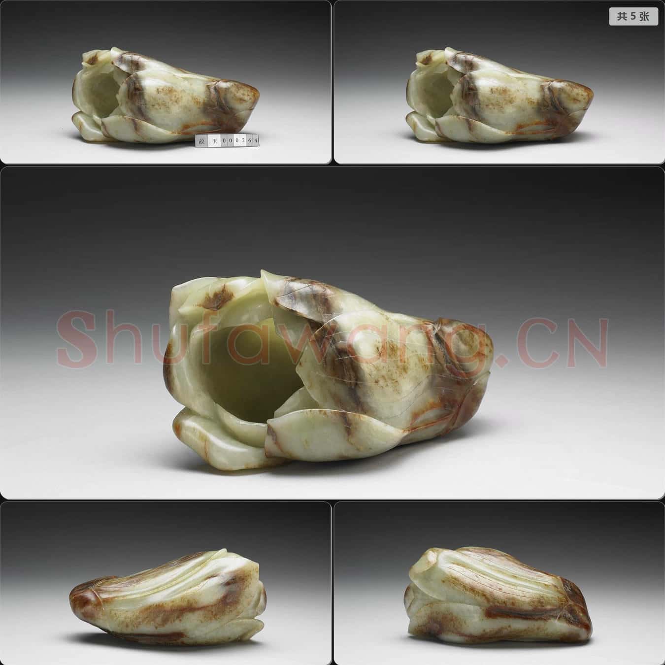 明 玉玉蘭花插