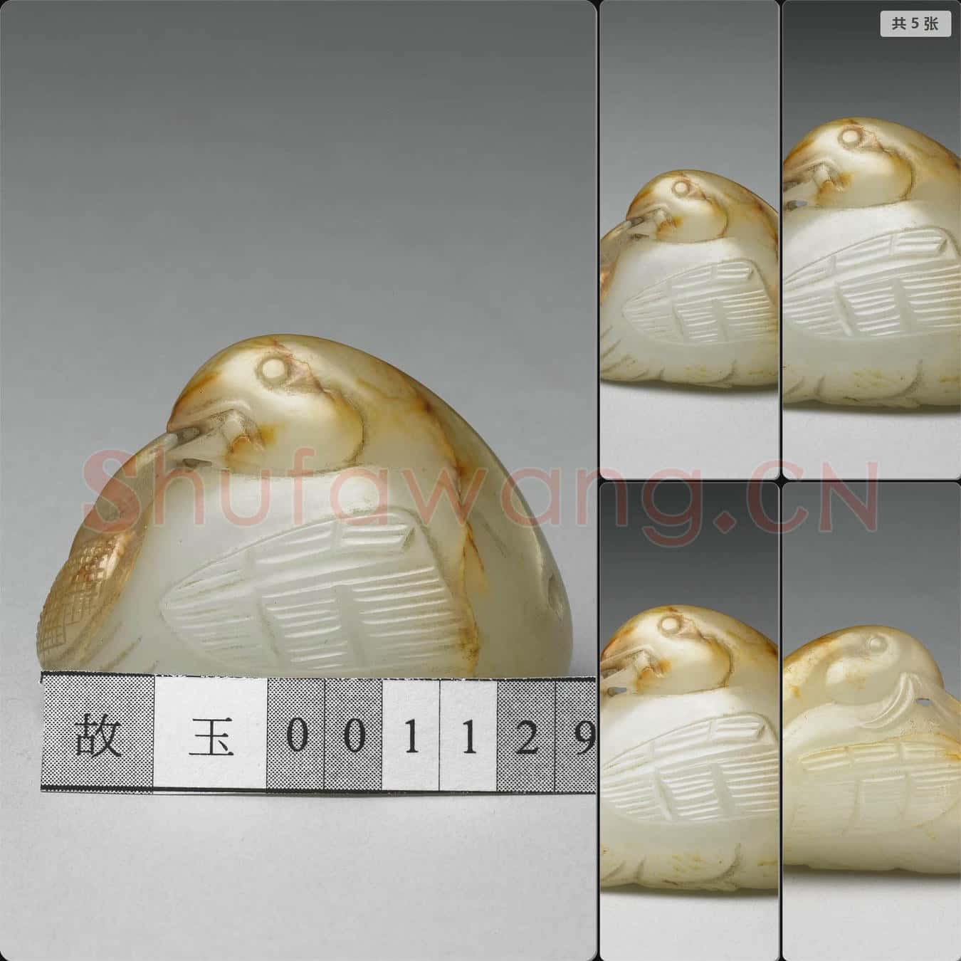 時代待訂 玉鳥
