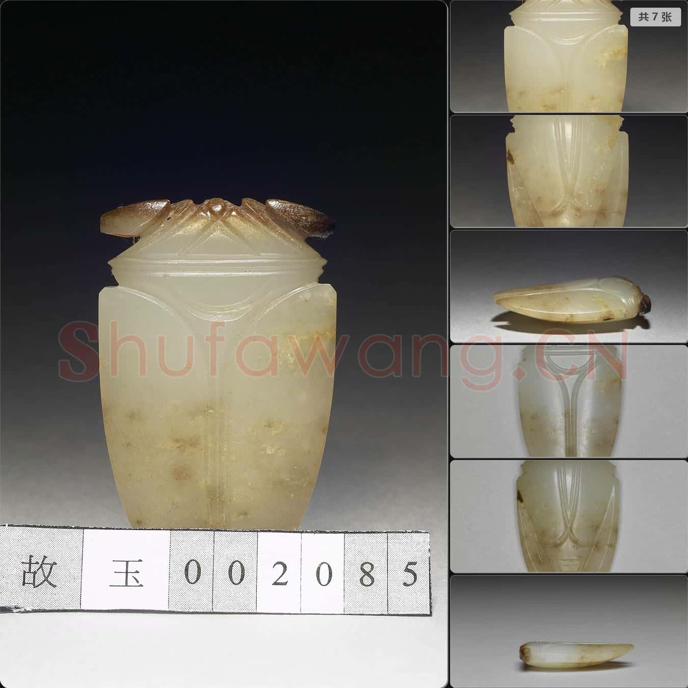 待訂 玉蟬