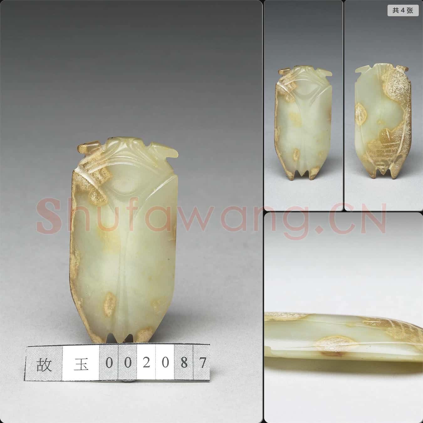 待訂 玉蟬