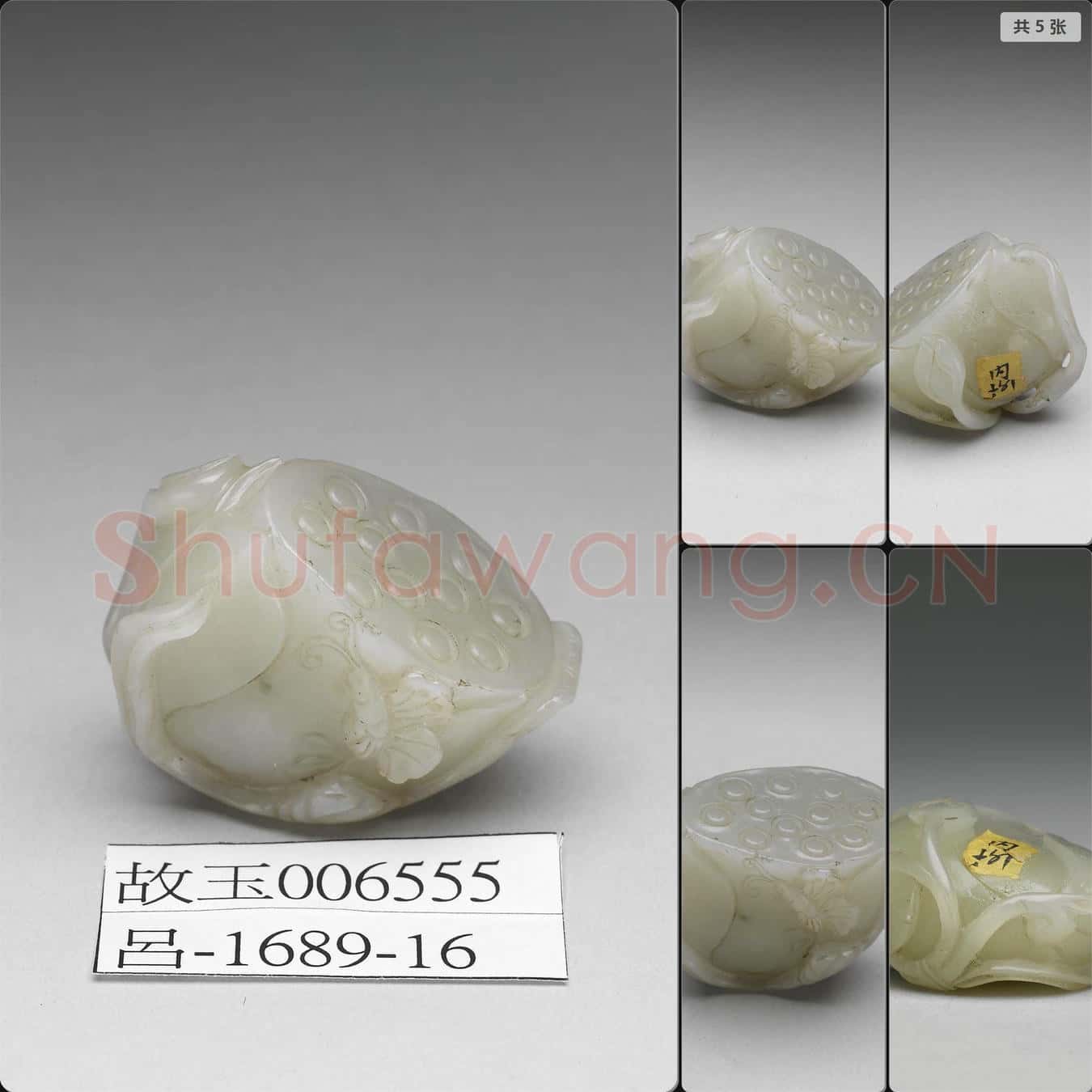 時代待訂 玉荷蓮