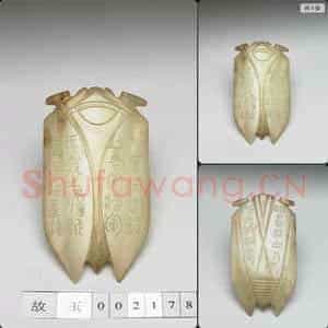 西汉 玉蝉