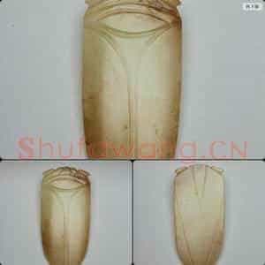 西汉 玉蝉