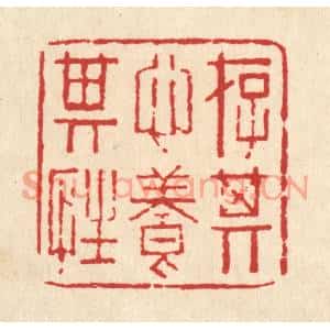 清代 甘源篆刻印谱《存其心养其性》图片欣赏