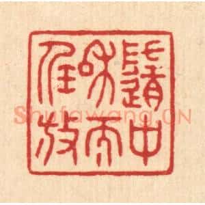 清代 王大集篆刻印谱《随中和而任放》图片欣赏