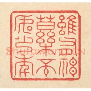 清代 张梓篆刻印谱《虽有神药,不如少年》图片欣赏