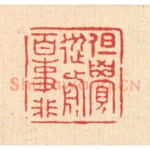 清代 王大集篆刻印谱《但觉从前百事非》图片欣赏