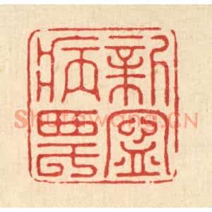 清代 汪桂严篆刻印谱《新宁病农》图片欣赏