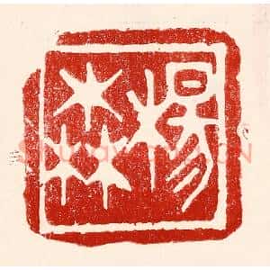 民国 王王孙篆刻印谱《杨森》图片欣赏