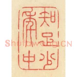 清代 王玉如篆刻印谱《知足少年中》图片欣赏