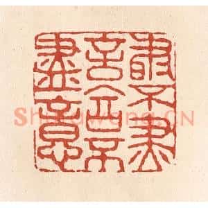 清代 施象堃篆刻印谱《书不尽言言不尽意》图片欣赏