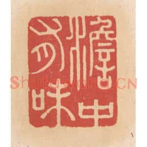 清代 施象堃篆刻印谱《澹中有味》图片欣赏