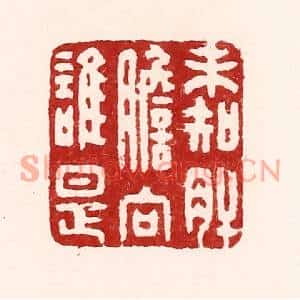 清代 吴苍雷篆刻印谱《未知肝胆向谁是》图片欣赏