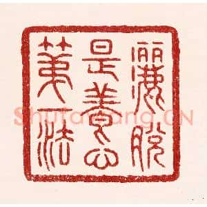 清代 吴苍雷篆刻印谱《洒脱是养心第一法》图片欣赏